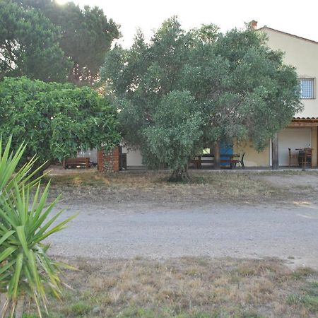 Mas De La Vignassa Villa Le Soler Luaran gambar