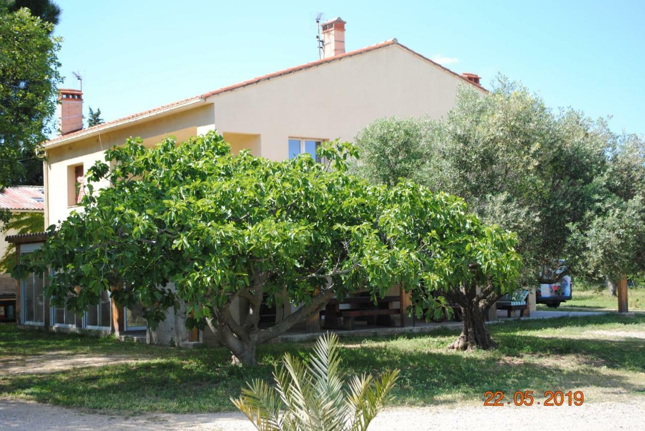 Mas De La Vignassa Villa Le Soler Luaran gambar